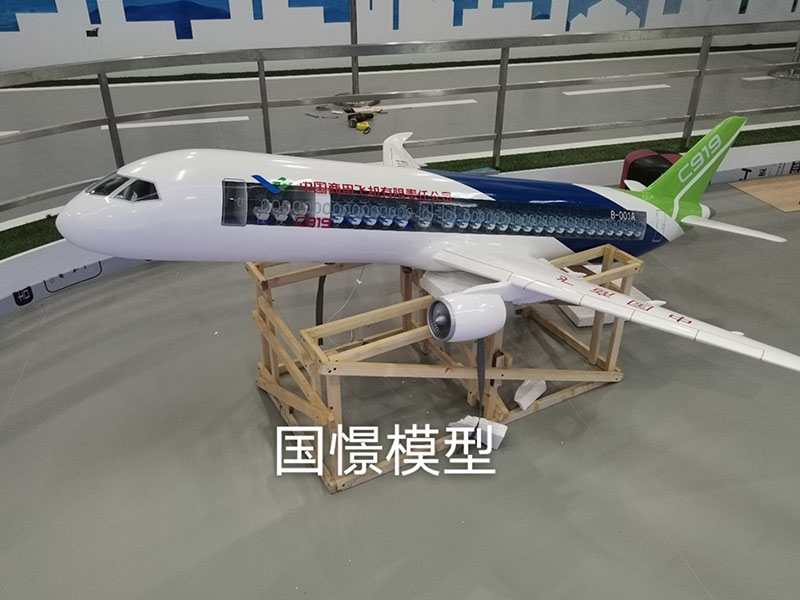 鸡东县飞机模型